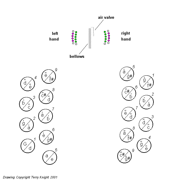 Concertina Button Chart